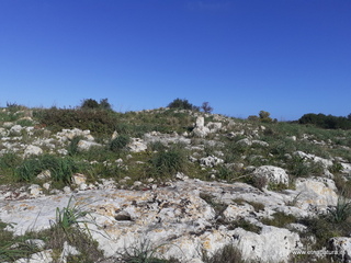 traro-30-12-2021 12-05-40